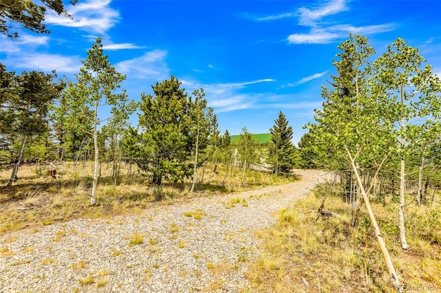 16 Red Cloud Dr, Como, CO 80432 - photo 48