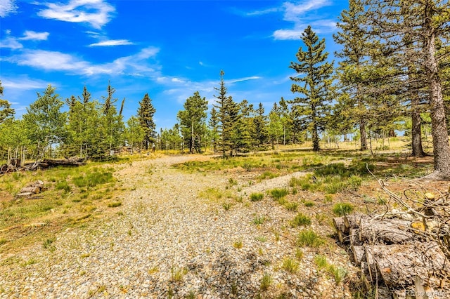 16 Red Cloud Dr, Como, CO 80432 - photo 49