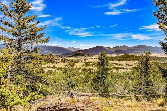16 Red Cloud Dr, Como, CO 80432 - photo 50