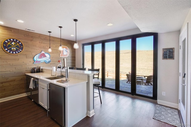 kitchen featuring dishwasher, wooden walls, dark wood-style floors, and a sink