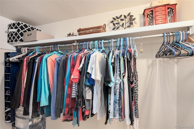 view of spacious closet