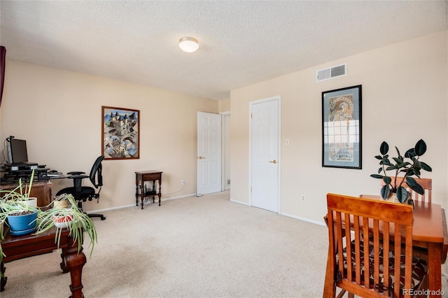 office with light colored carpet and a textured ceiling