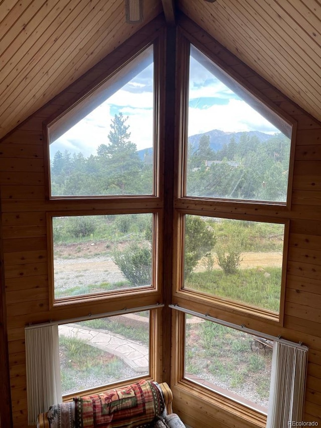 details featuring a mountain view, wood ceiling, and wood walls