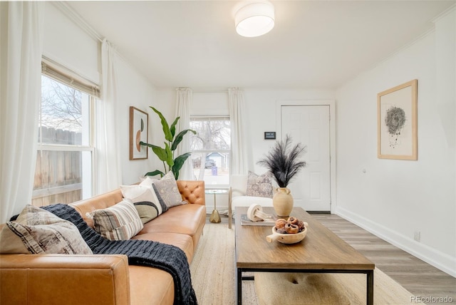 living room featuring light wood-style floors, plenty of natural light, baseboards, and ornamental molding