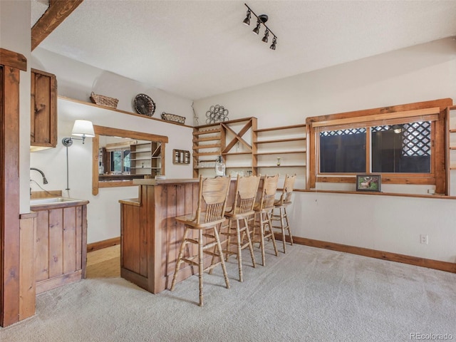 bar featuring a sink, light colored carpet, rail lighting, baseboards, and bar area
