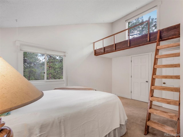 bedroom with carpet flooring and high vaulted ceiling
