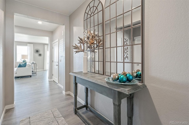 18150 Coppermallow Trl, Parker, CO 80134 - hallway featuring wood finished floors and a textured wall