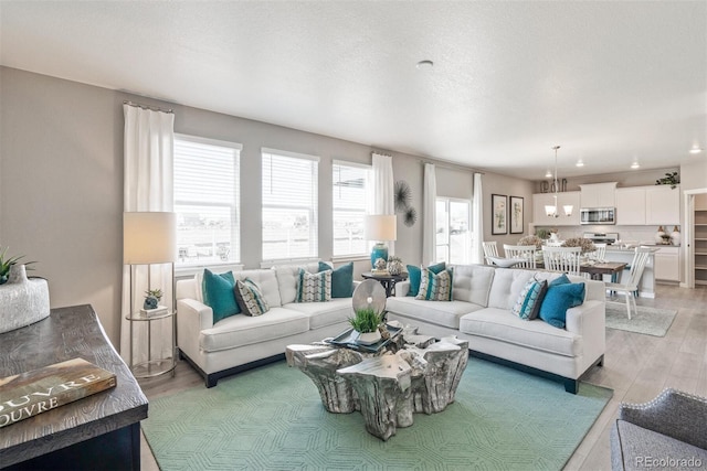 18150 Coppermallow Trl, Parker, CO 80134 - living area with light wood finished floors