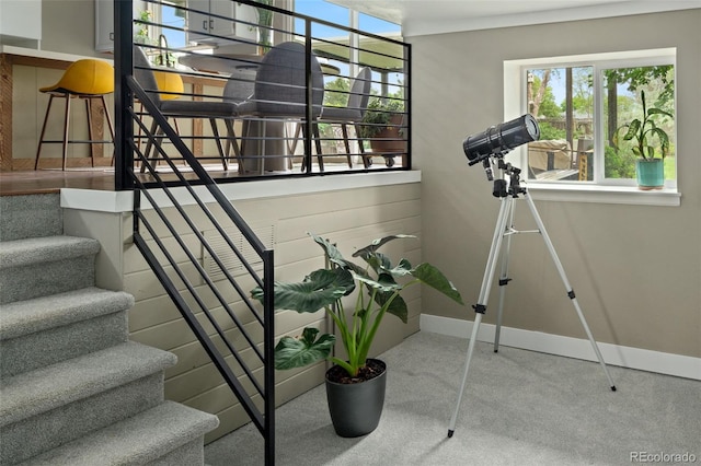 8764 W 95th Ave, Broomfield, CO 80021 - stairs featuring baseboards and carpet flooring