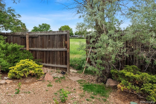 8764 W 95th Ave, Broomfield, CO 80021 - view of yard