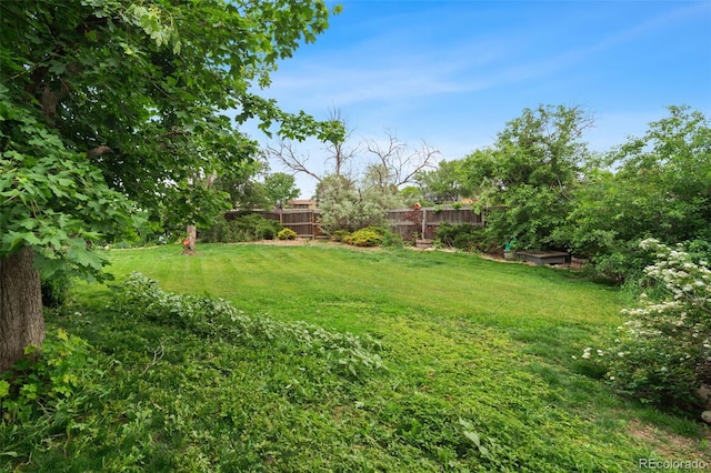 8764 W 95th Ave, Broomfield, CO 80021 - view of yard