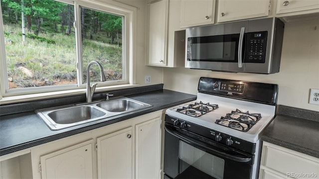 900 Beaver Creek Dr, Florissant, CO 80816 - photo 11