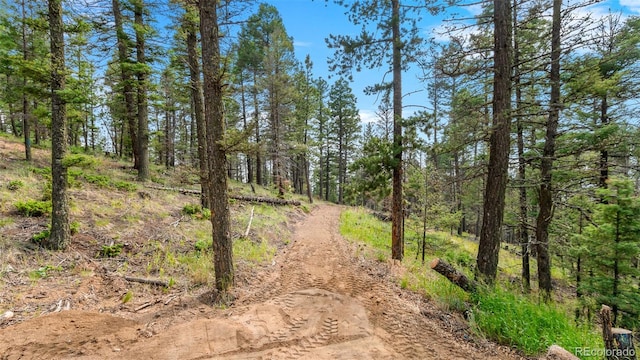 900 Beaver Creek Dr, Florissant, CO 80816 - photo 27