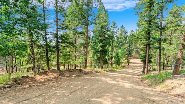 900 Beaver Creek Dr, Florissant, CO 80816 - photo 29