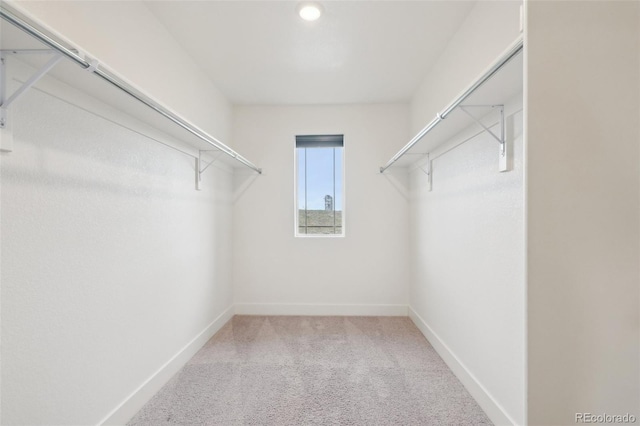 spacious closet with carpet