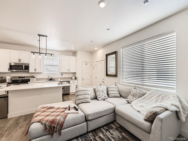 living room with sink and wood-type flooring