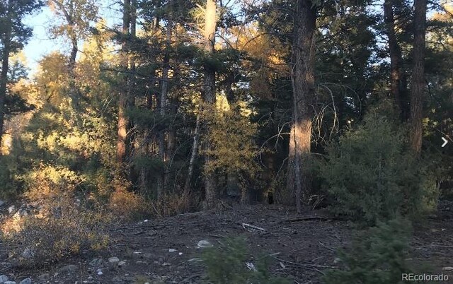 109 Deer Run, Mosca, CO 81146