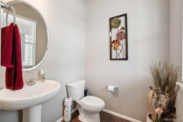 2273 Stonefish Dr, Windsor, CO 80550 - photo 13