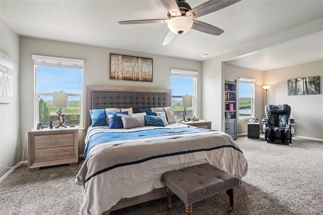 2273 Stonefish Dr, Windsor, CO 80550 - photo 14