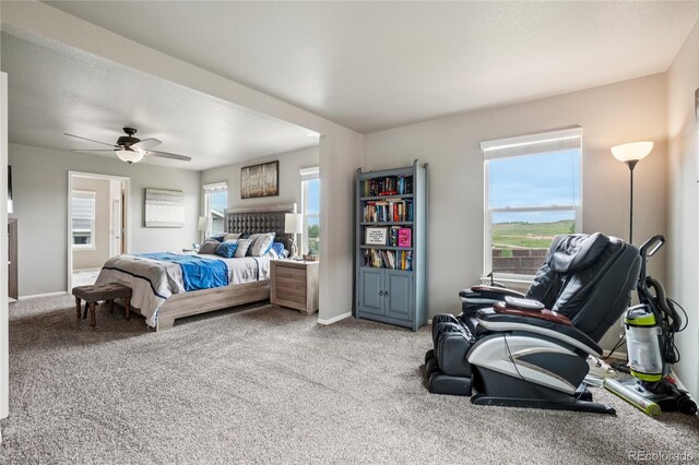 2273 Stonefish Dr, Windsor, CO 80550 - photo 15