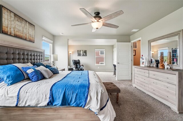 2273 Stonefish Dr, Windsor, CO 80550 - photo 16