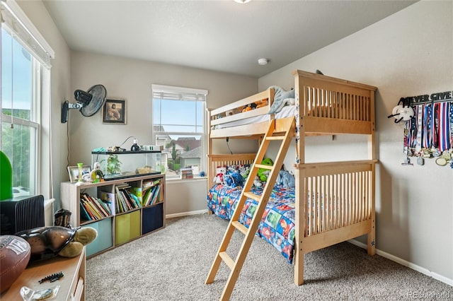 2273 Stonefish Dr, Windsor, CO 80550 - photo 22