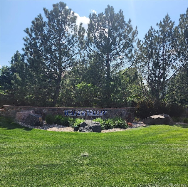 2273 Stonefish Dr, Windsor, CO 80550 - photo 33