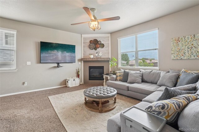 2273 Stonefish Dr, Windsor, CO 80550 - photo 8