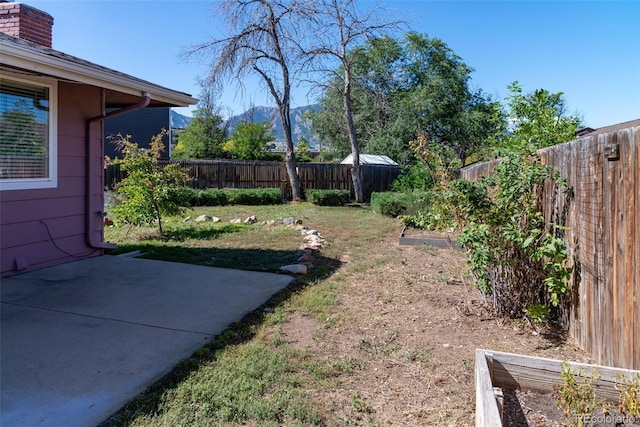 view of yard featuring a patio area and a mountain view