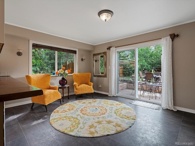 109 Bear Creek Ln, Morrison, CO 80465 - living area with plenty of natural light and crown molding