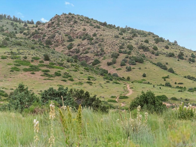 109 Bear Creek Ln, Morrison, CO 80465 - view of mountain background