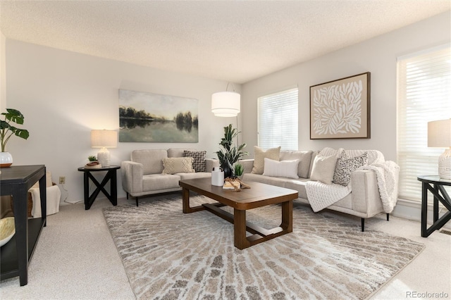 carpeted living room with a textured ceiling