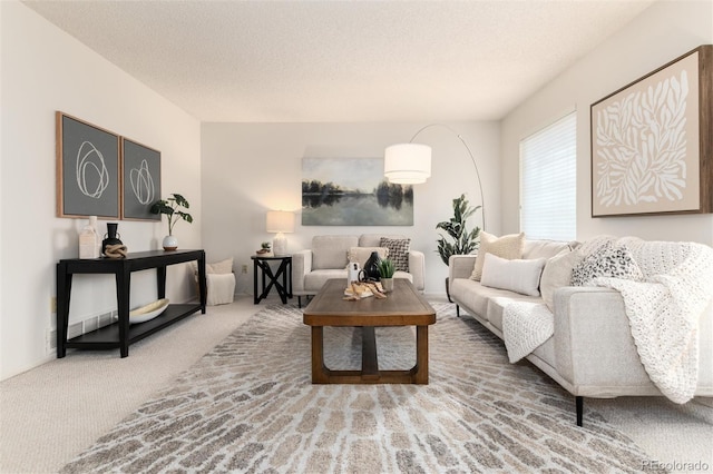 living room with carpet flooring and a textured ceiling