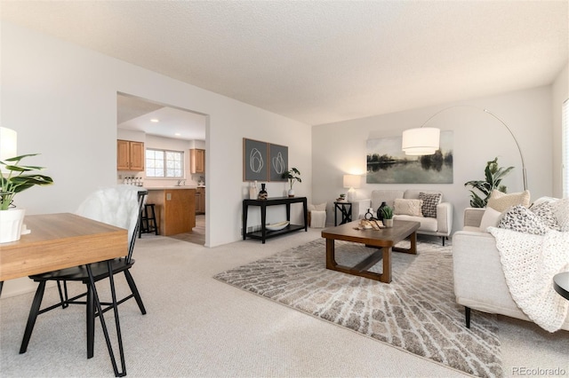 carpeted living room with a textured ceiling