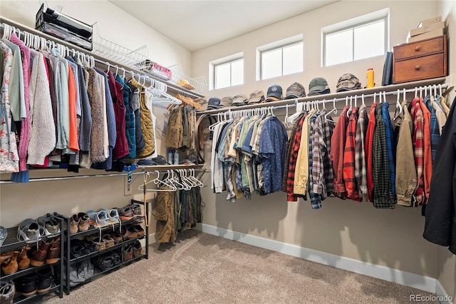 walk in closet with carpet flooring