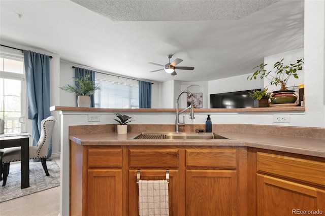 kitchen with sink, a textured ceiling, and ceiling fan