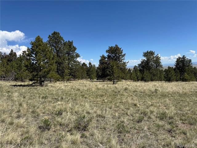 9430 Ranch Rd, Hartsel, CO 80449