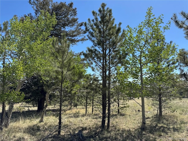 9430 Ranch Rd, Hartsel, CO 80449