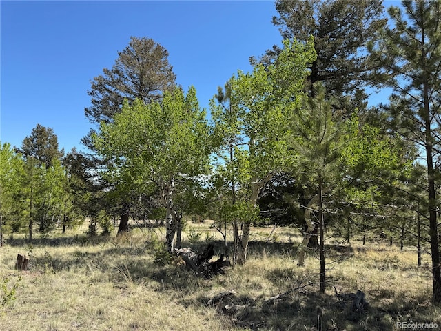 9430 Ranch Rd, Hartsel, CO 80449