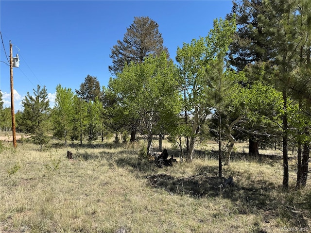 9430 Ranch Rd, Hartsel, CO 80449