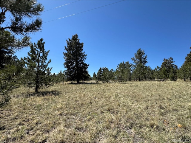 9430 Ranch Rd, Hartsel, CO 80449