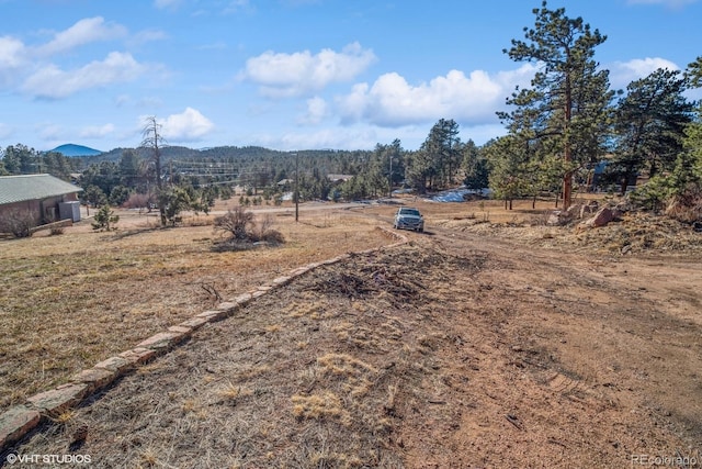 view of yard with a mountain view and a rural view