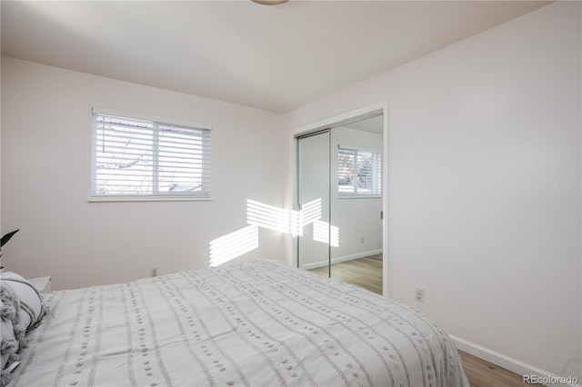 bedroom with wood finished floors, multiple windows, a closet, and baseboards