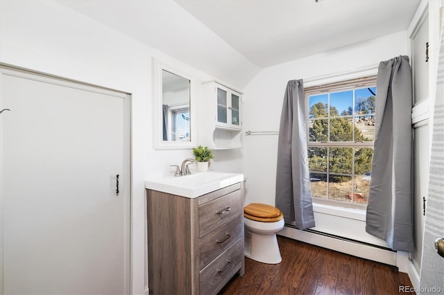 bathroom featuring vaulted ceiling, a healthy amount of sunlight, vanity, and a baseboard radiator