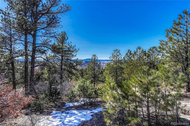 Listing photo 3 for 2111 Ramblewood Ct, Castle Rock CO 80104