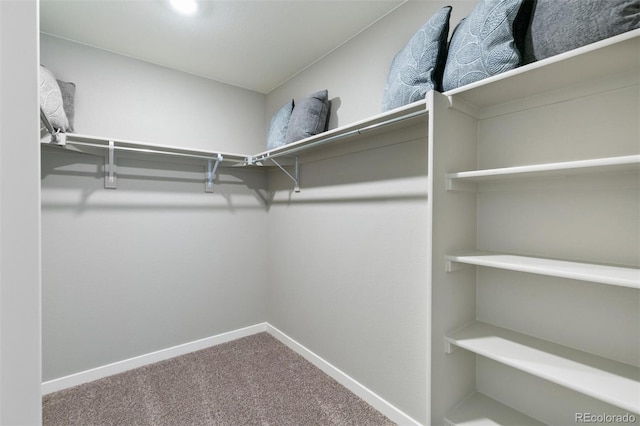 walk in closet featuring carpet