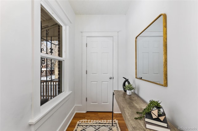 doorway with hardwood / wood-style flooring