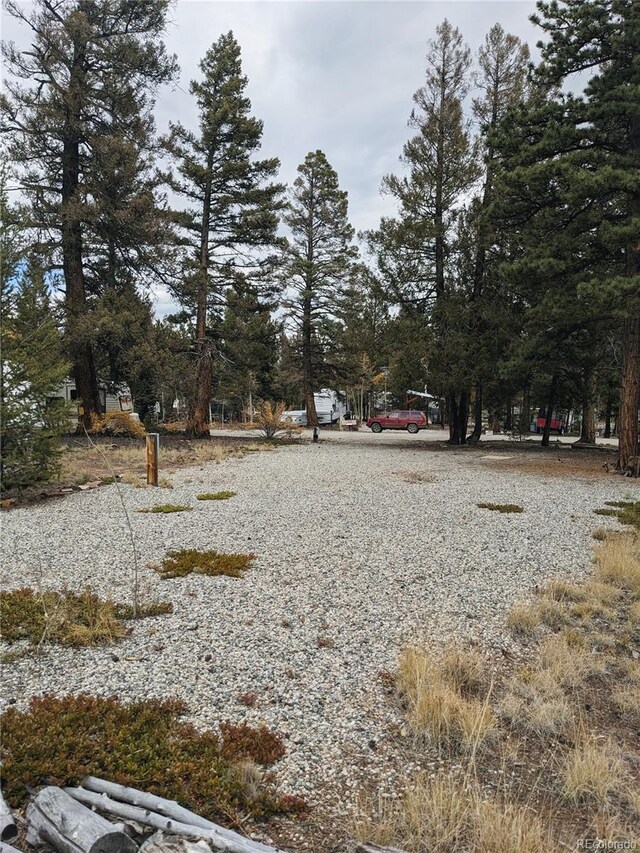 51 Tie Way, Hartsel, CO 80449