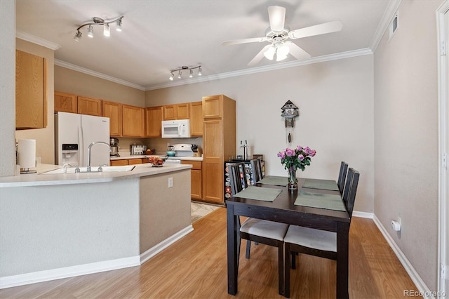 1131 S Alton St Unit A, Denver, CO 80247 - photo 7