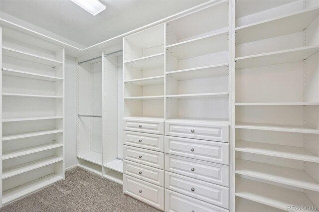 2660 Timberchase Trl, Highlands Ranch, CO 80126 - walk in closet featuring carpet flooring